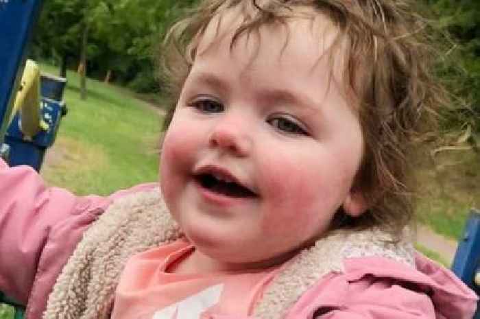 Four-year-old killed in tragic dog attack pictured as neighbours describe chilling screams