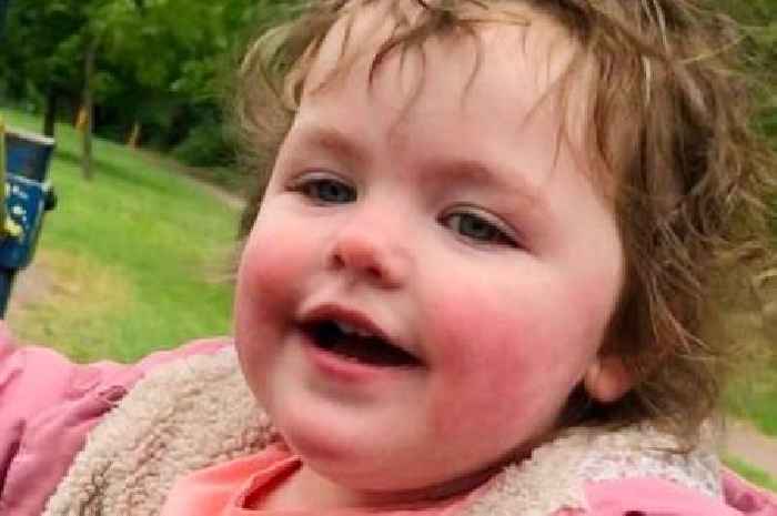 Young girl killed in dog attack was mauled by family pet shot dead at scene