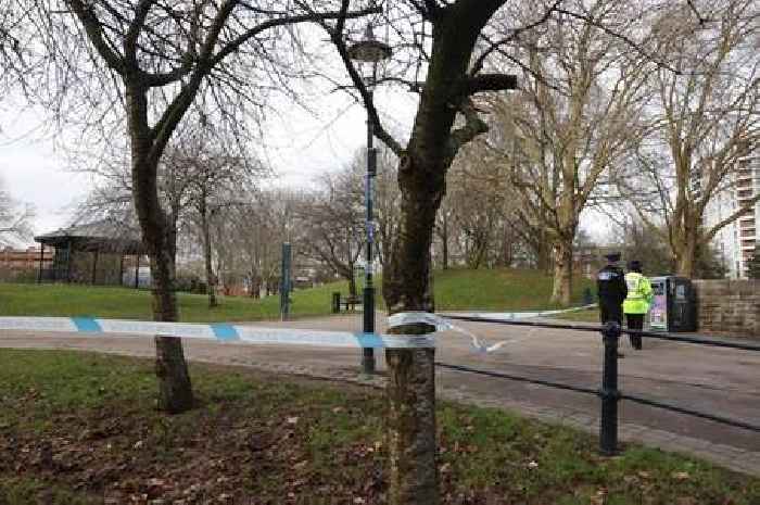 Castle Park stabbing: Everything we know so far after man arrested for murder