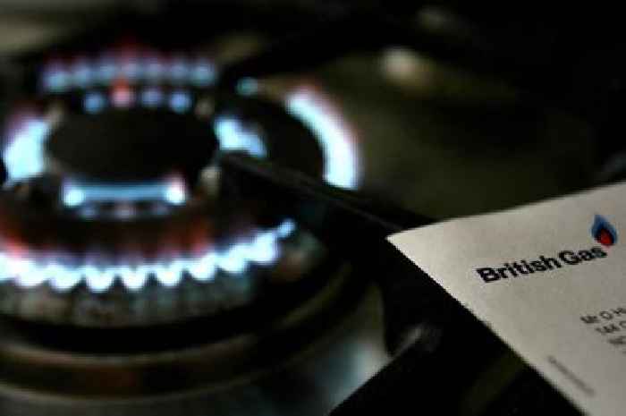 British Gas suspends force-fitting prepayment meters after claim of 'break-ins'