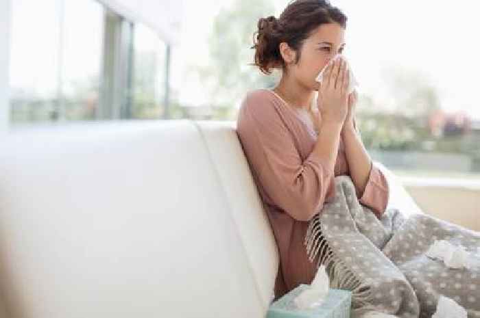 Covid or flu - these are the common symptoms right now