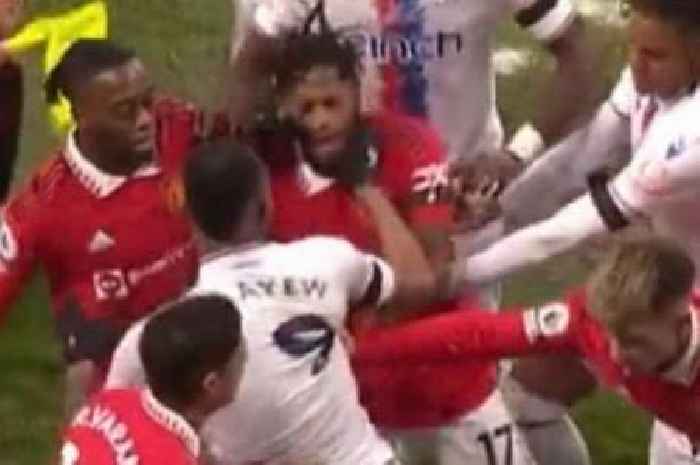 Man Utd fans fume as Jordan Ayew 'chokes' Fred but isn't sent off like Casemiro