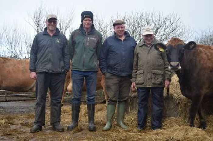 Moors plan leaves Cornwall farm families fearing for their livelihoods