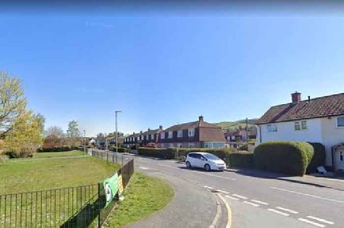 Man seriously hurt after being hit by car in Newtown, Powys