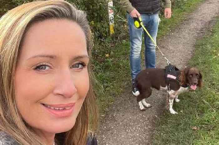 Missing Nicola Bulley's dog 'entered fight or flight mode' at disappearance, says expert