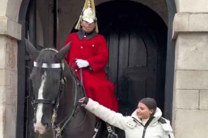 King's Guard yells at tourist for grabbing horse's reins for picture