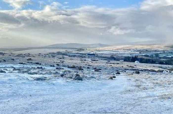 Met Office on Beast from the East rumours as Devon temperatures plunge to -3C tonight