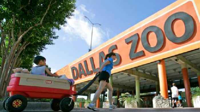 Man Arrested For Stealing Dallas Zoo Animals Vows to Do it Again if Released