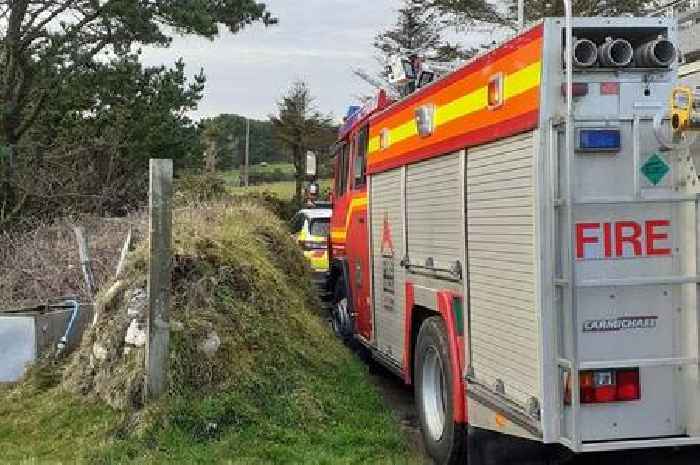 Cornwall hunt accused of putting dogs in danger after mineshaft fall