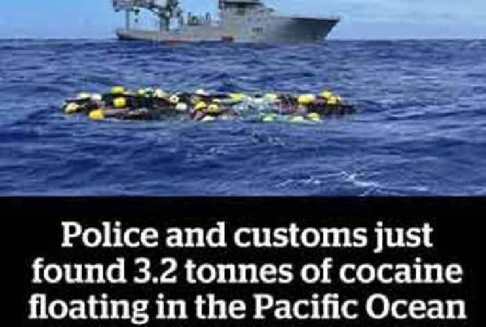 'Cocaine Shark' Trends after 3.2 Tons of Cocaine Is Found in Ocean Off New Zealand
