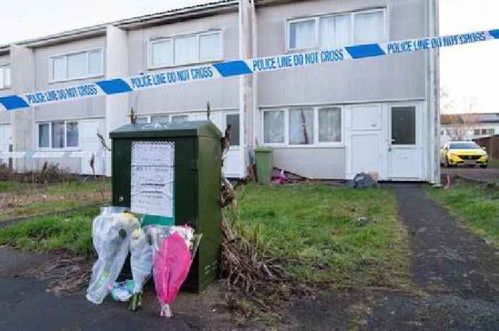 Police confirm dog that killed four-year-old Alice Stones last week was not a banned breed