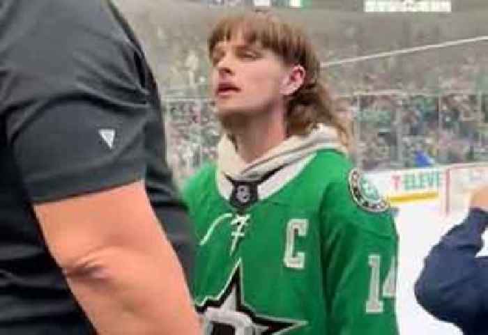 Joe Dirt Lookalike Gets Deservedly Sucker Punched at Dallas Stars Game