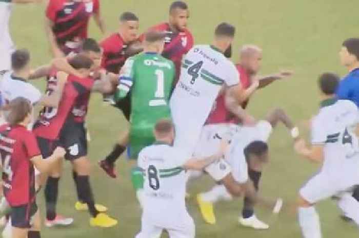 Ref shows 8 red cards as punches and kicks fly in mass brawl - with Fernandinho booked