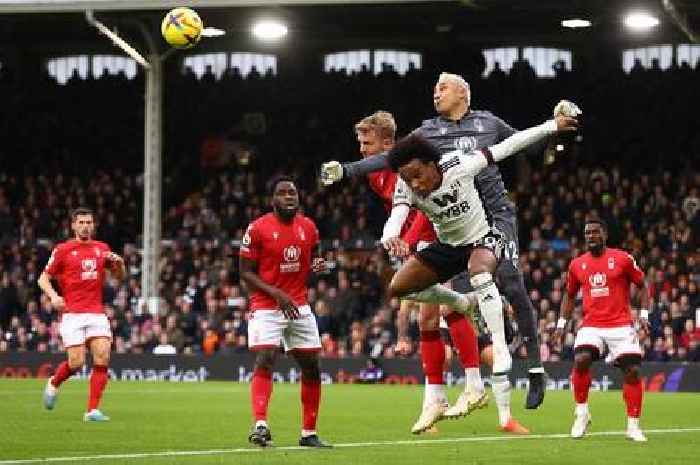 Nottingham Forest player ratings - Shelvey impresses as Reds suffer tough defeat to Fulham