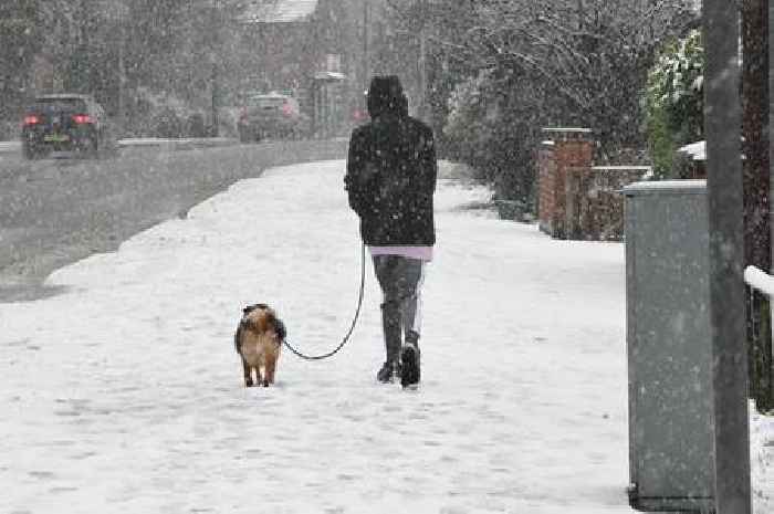 Met Office verdict amid fears of 'winter's revenge' bringing snow and freezing weather in March