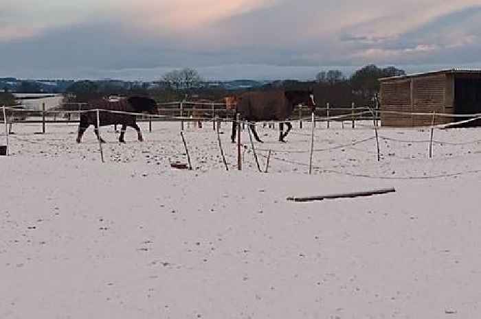 Met Office weather: Snow could return as maps show '3cm per hour' flurries could hit UK this weekend