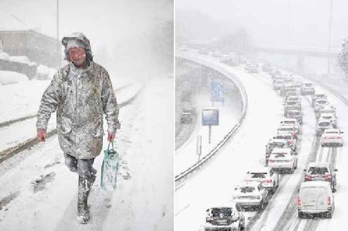 Met Office responds to 'Beast from the East' UK speculation: significant colder weather 'not ruled out'