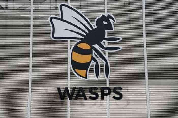 Confusion over Wasps' Solihull move as club insists 'no agreement signed with any stadium'