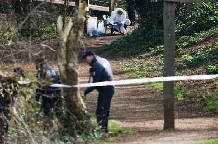 Exeter murder trial date for alleged park killer Cameron Davis set