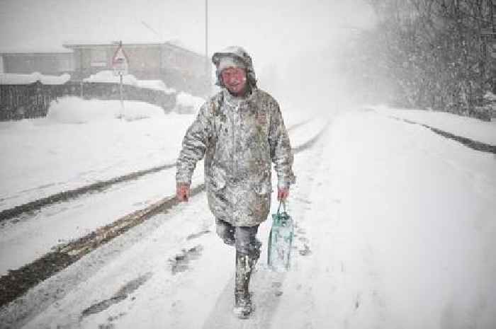 Met Office: 'Sudden Stratospheric Warming' that caused Beast from the East could hit UK