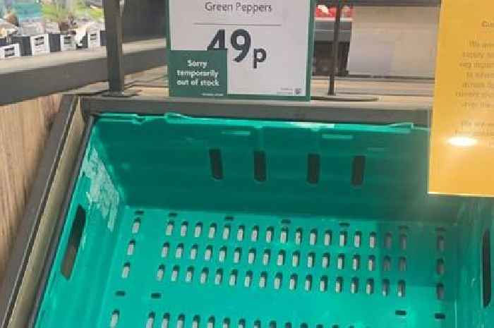 First tomatoes, now peppers: empty shelves as fruit and veg shortage continues