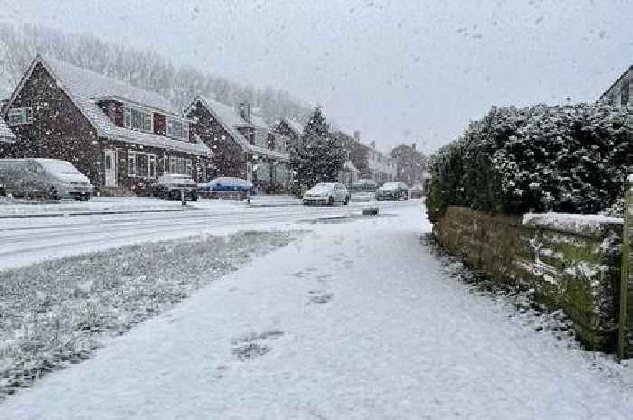 Met Office UK weather: Snow and 'wintry showers' most probable 'far south' amid Beast from the East speculation