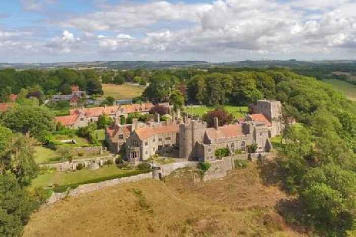 Real Housewives star buys Lympne Castle and confirms weddings will be honoured