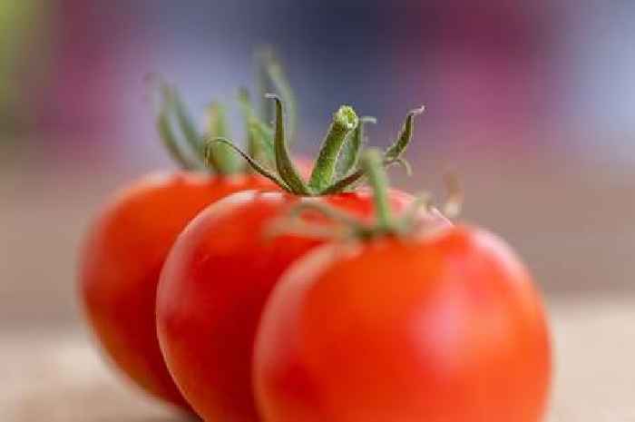 National Farmers’ Union warns fruit and vegetable shortages could be ‘tip of the iceberg’