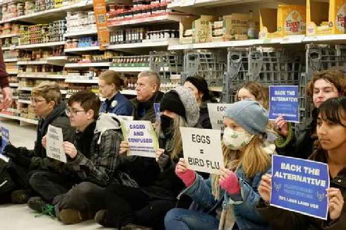 Animal Rebellion stages Sainsbury’s sit-in at Clifton store's egg aisle