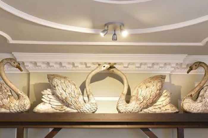 Lowewood Museum’s iconic 100-year-old wooden swans named as Hertfordshire's Museum Object of the Year