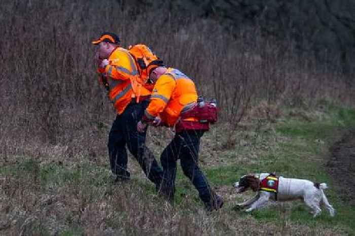 Remains found in Constance Marten and Mark Gordon baby search