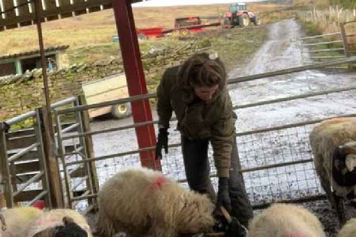 Our Yorkshire Farm's Amanda Owen admits things are going 'wrong' as fans rush to support her