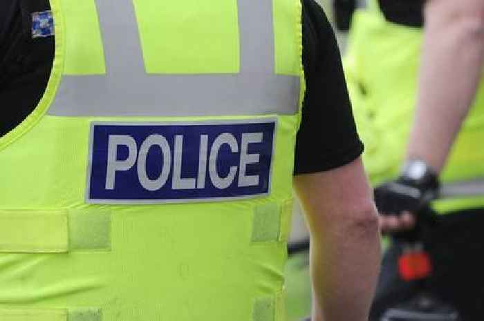 Premature baby found dead in South West heathland