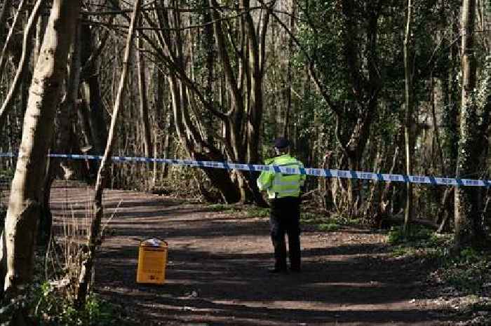 Community 'worried' after baby's body found as police continue to search woodland and allotments