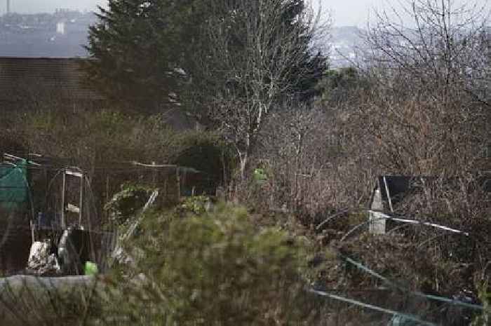Remains of baby in Constance Marten case were found in a plastic bag under nappies in a shed, court told