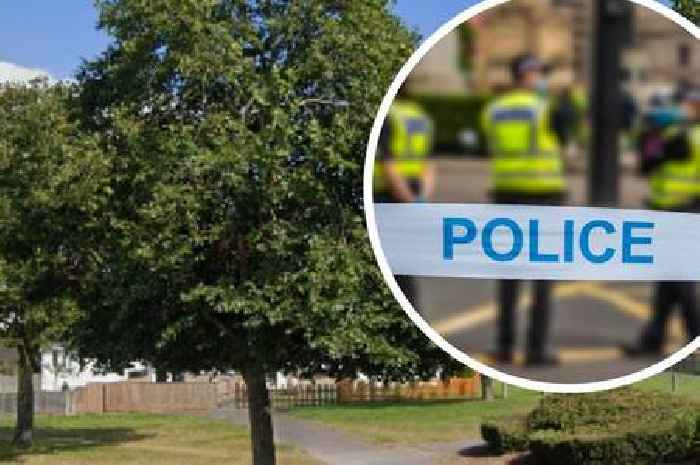 Urgent search for mum as baby found dead in South West heathland