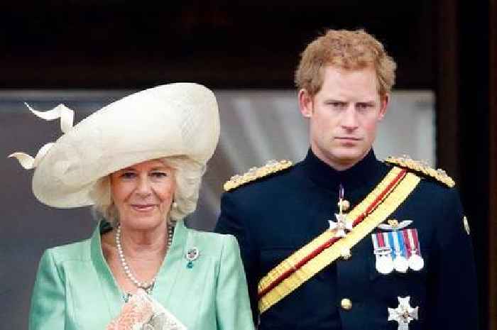 Prince Harry's brutal two-word insult against Camilla which pushed King Charles too far