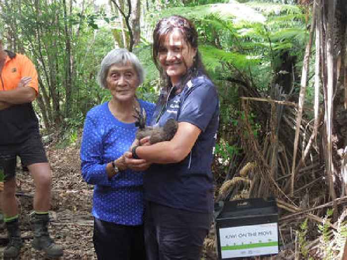 Dedicated to Wildlife: Rayonier’s Efforts To Help Save the Kiwi in New Zealand