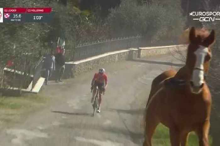 Incredible scenes in cycling race as horse storms the track and almost takes out racer