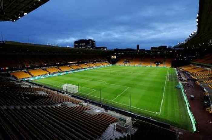 Wolves vs Tottenham USA TV channel, live stream details and how to watch