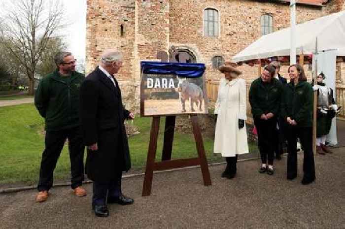 King Charles III and Camilla reveal name of Colchester Zoo's new rhino calf as Dara