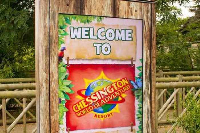 Live: Chessington World of Adventures incident with 'massive police presence' seen around theme park