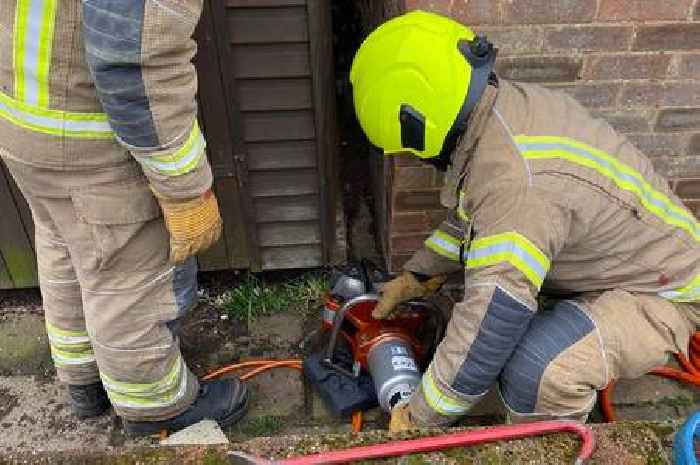 Firefighters have to lift shed out of the way to rescue trapped puppy