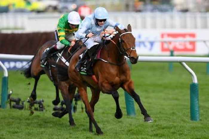 Mares' Hurdle 2023 guide: When is it, runners, odds and betting for Cheltenham Festival