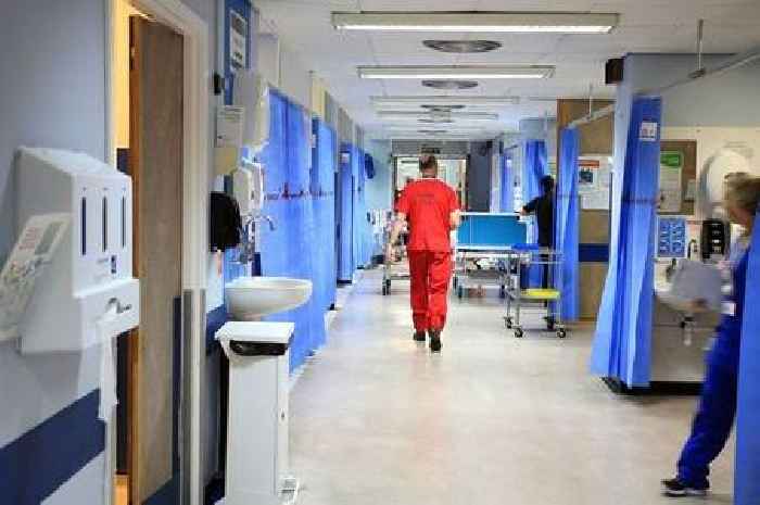 NHS strikes: Devon hospitals 'extremely busy' amid 'biggest disruption' to date