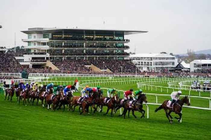 Cheltenham Festival 2023 day one tips and best bets as Garry Owen picks his winner for the Supreme Novices Hurdle