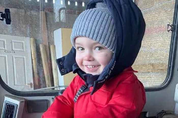 Mum and son killed after being hit by lorry as car broke down