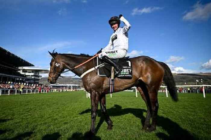 Cheltenham Festival 3.30 Champion Hurdle 2023 result: Constitution Hill lives up to expectations