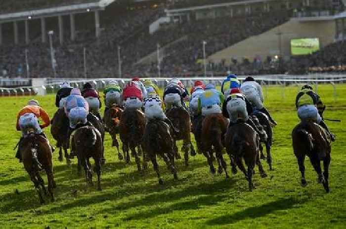 Cheltenham Festival 2023 LIVE racecards, tips, free bets and results on day one