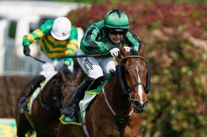 Meet the £800 horse going for Cheltenham Gold Cup glory after conquering America